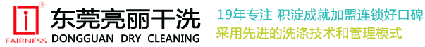 东莞市亮丽清洗技术咨询有限公司